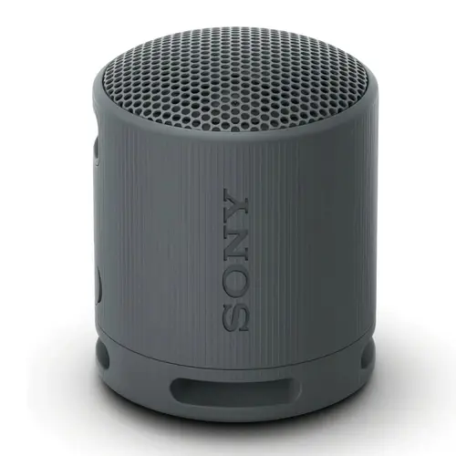 Sony SRS-XB100 Wireless Portable Speaker