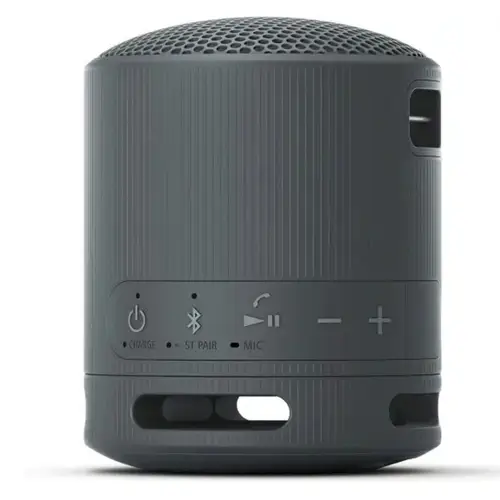 Sony SRS-XB100 Wireless Portable Speaker