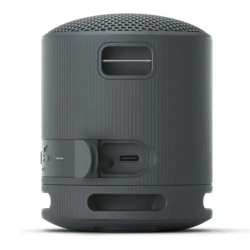 Sony SRS-XB100 Wireless Portable Speaker