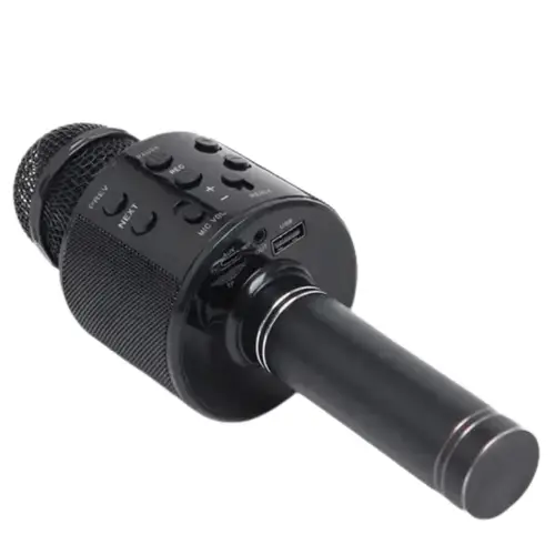 Mic With Children's Speaker