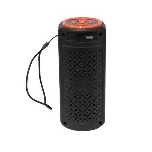 GTS-1742 Wireless Portable Speaker