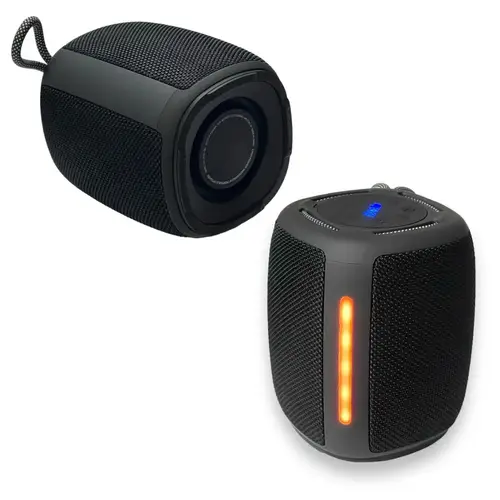 BTS-1981 Wireless Portable Speaker