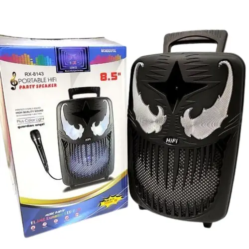 RX-8143 Portable HiFi Party Speaker