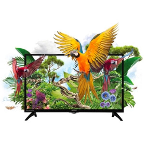 Orient 32 Inch Macaw HD LED TV