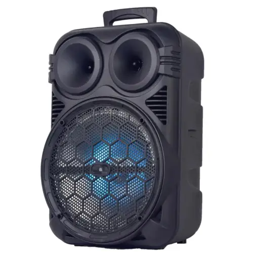 KTS-1201 Wireless Portable Speaker With Mic