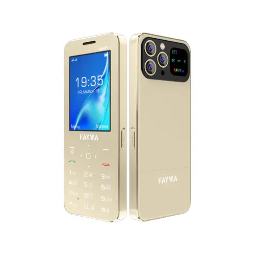 FAYWA SMART 1