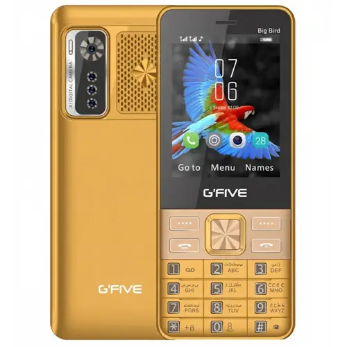 Gfive Big Bird