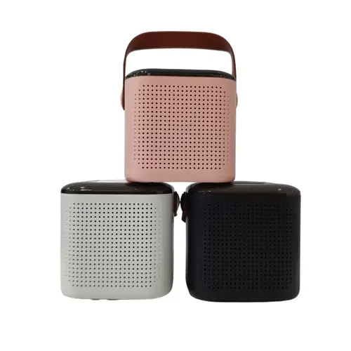 KTS-1680 Wireless Portable Speaker