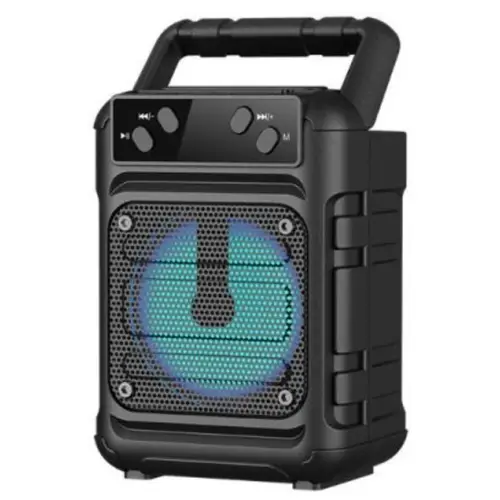GTS-1361 Portable Wireless Speaker
