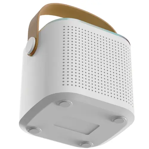 Audionic Boom Box 101 Speaker With Mic